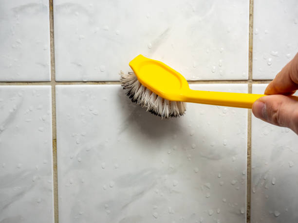 Best Fast Mold Removal  in Gambrills, MD