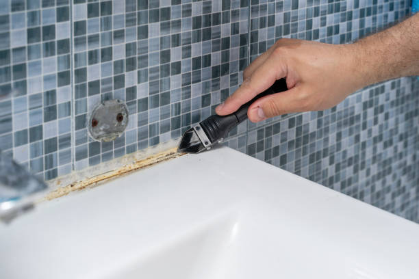 Trusted Gambrills, MD Mold Removal Experts